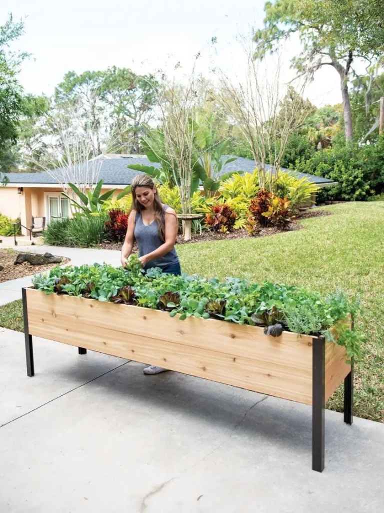Image shows raised self-watering cedar planter, and links to Gardener's website.